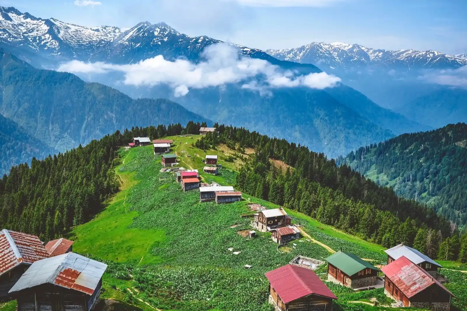 Likya ve Karadeniz turlarına talep bu yıl yüzde 40 arttı