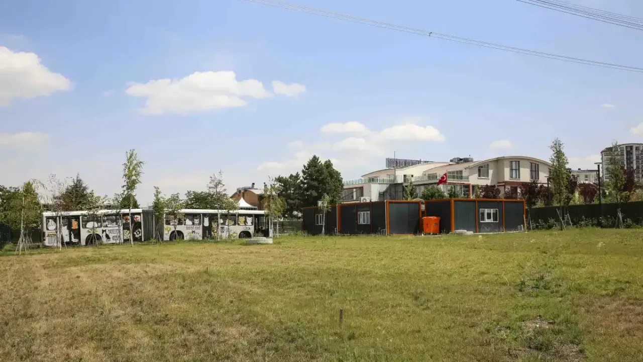 Ankara'da kedilere özel yeni yaşam merkezi açıldı