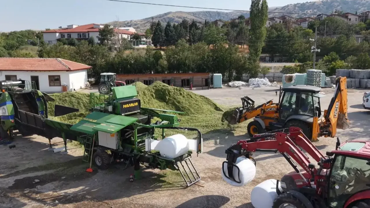 Kalecik ve Akyurt'ta hayvancılığa mısır silajı yardımı