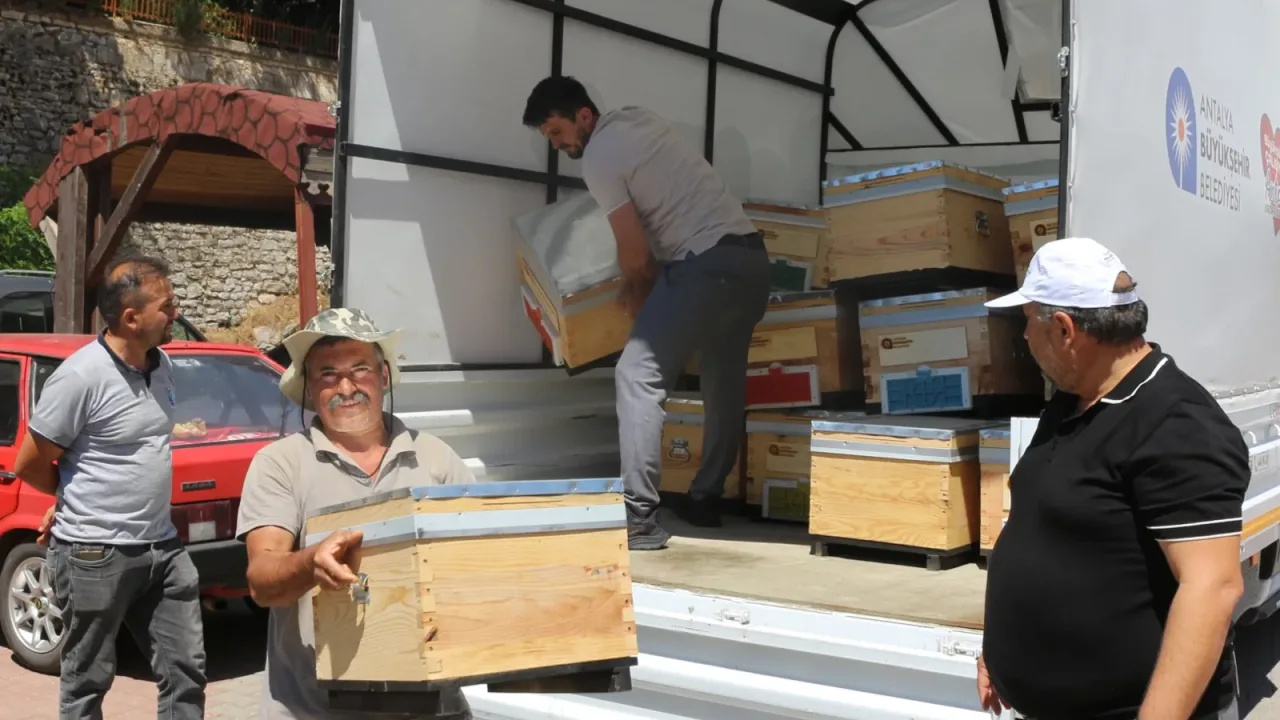 Antalya Büyükşehir’den arıcılara kovan desteği