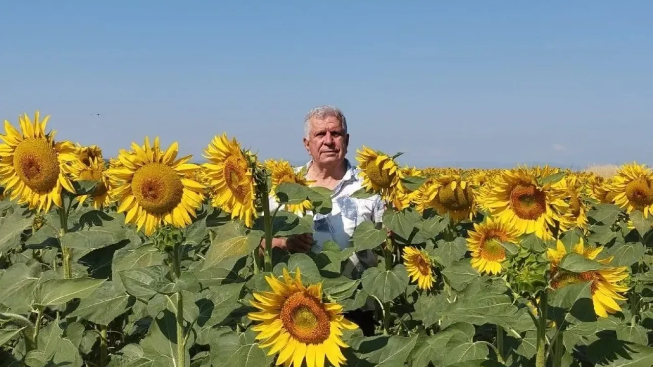 Ayçiçeği ve pirinç ithalatına Edirne'den tepki