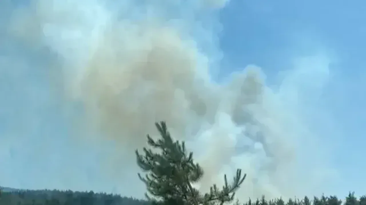 Bursa’da Kestel ve Yıldırım’da orman yangını