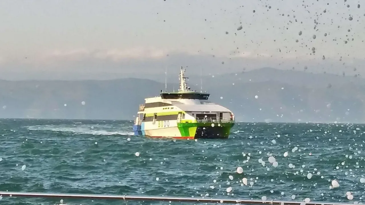 Bursa-İstanbul deniz otobüsü seferlerine hava engeli