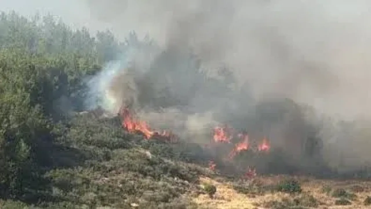 Çanakkale Ezinede orman yangınına havadan ve karadan müdahale