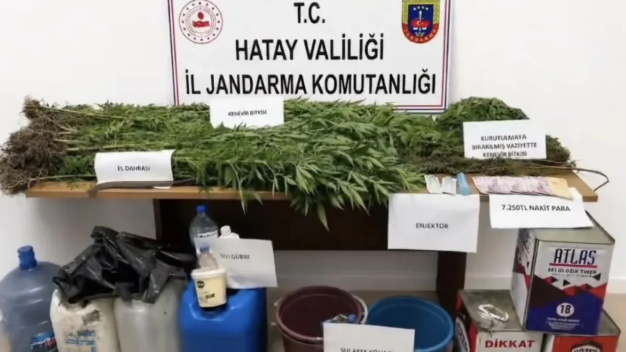 Dörtyol'da Kenevir Operasyonu