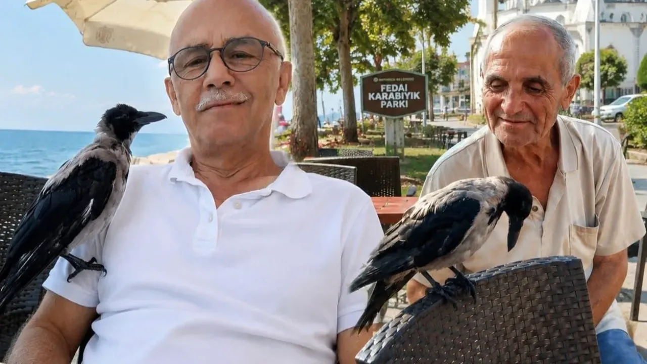 Düzce Akçakoca’da insanlarla dostluk kuran karga ilgi odağı