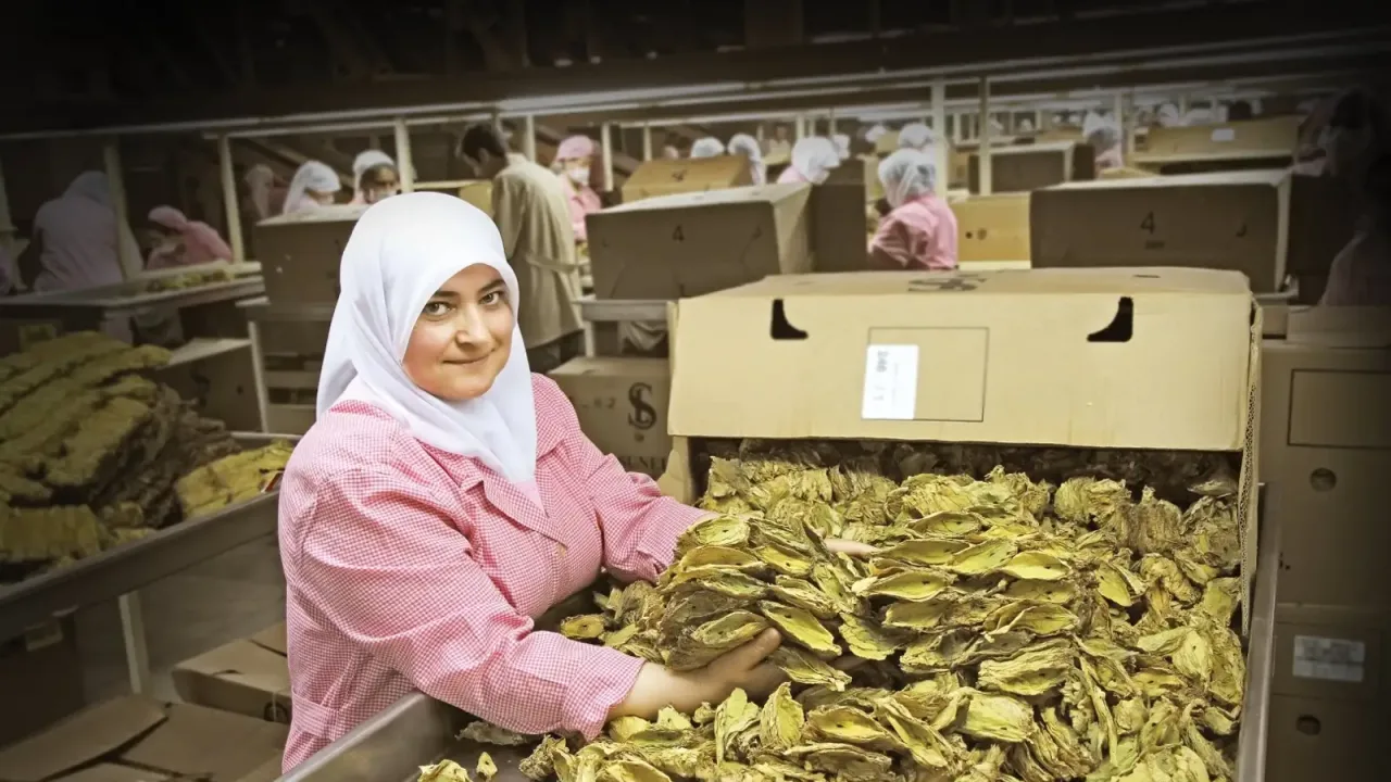Ege İhracatçı Birlikleri İhracat Rekorları