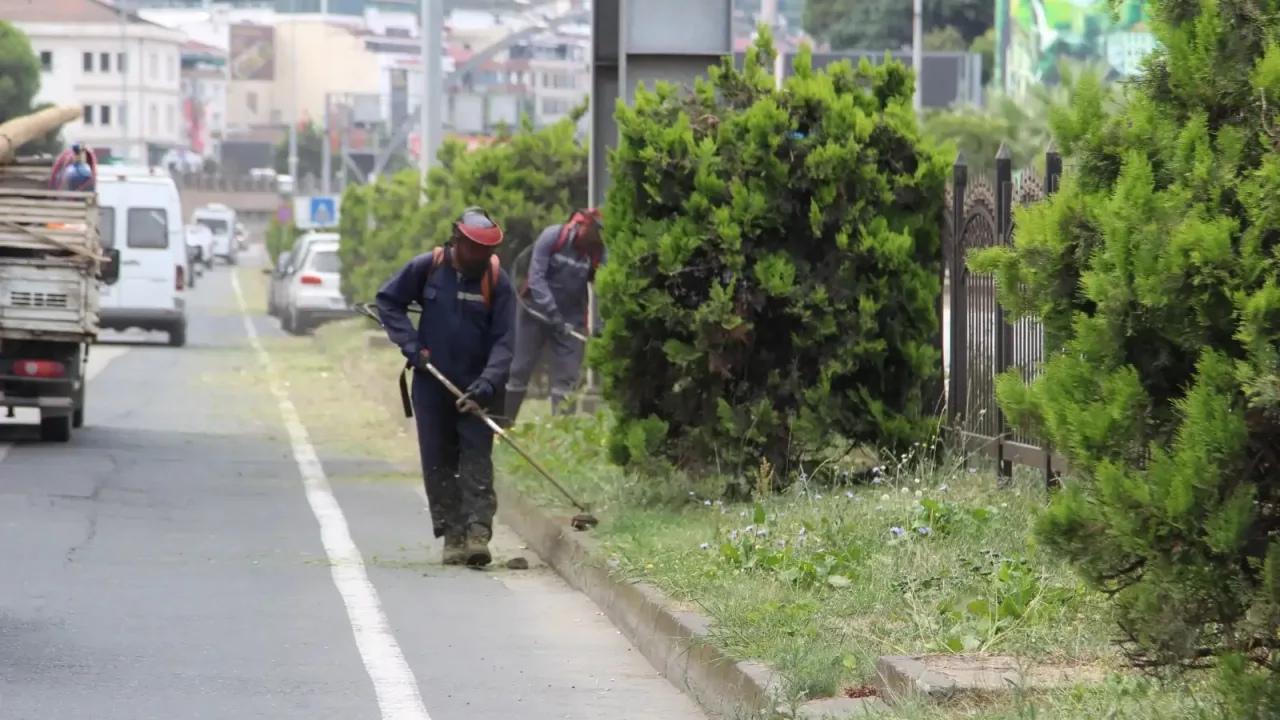 Giresun'da kapsamlı çevre ve temizlik operasyonu