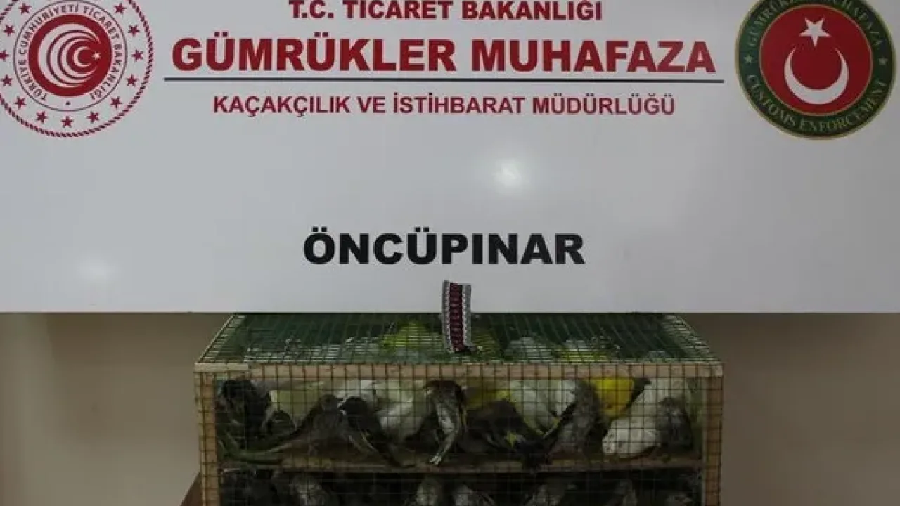 Gümrük Muhafaza Kaçakçılığa Darbe Vurdu