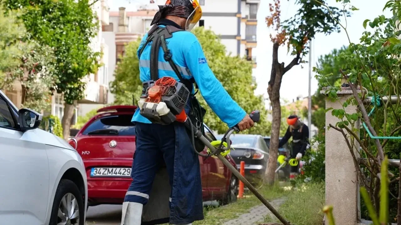 Maltepe Belediyesi çevre düzenleme faaliyetleri sürüyor