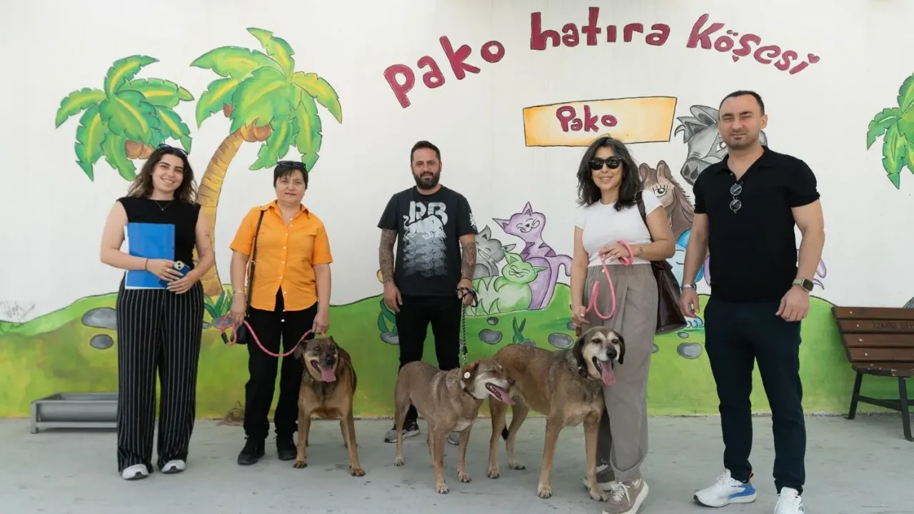 İzmir'de patili dostlar iş başında
