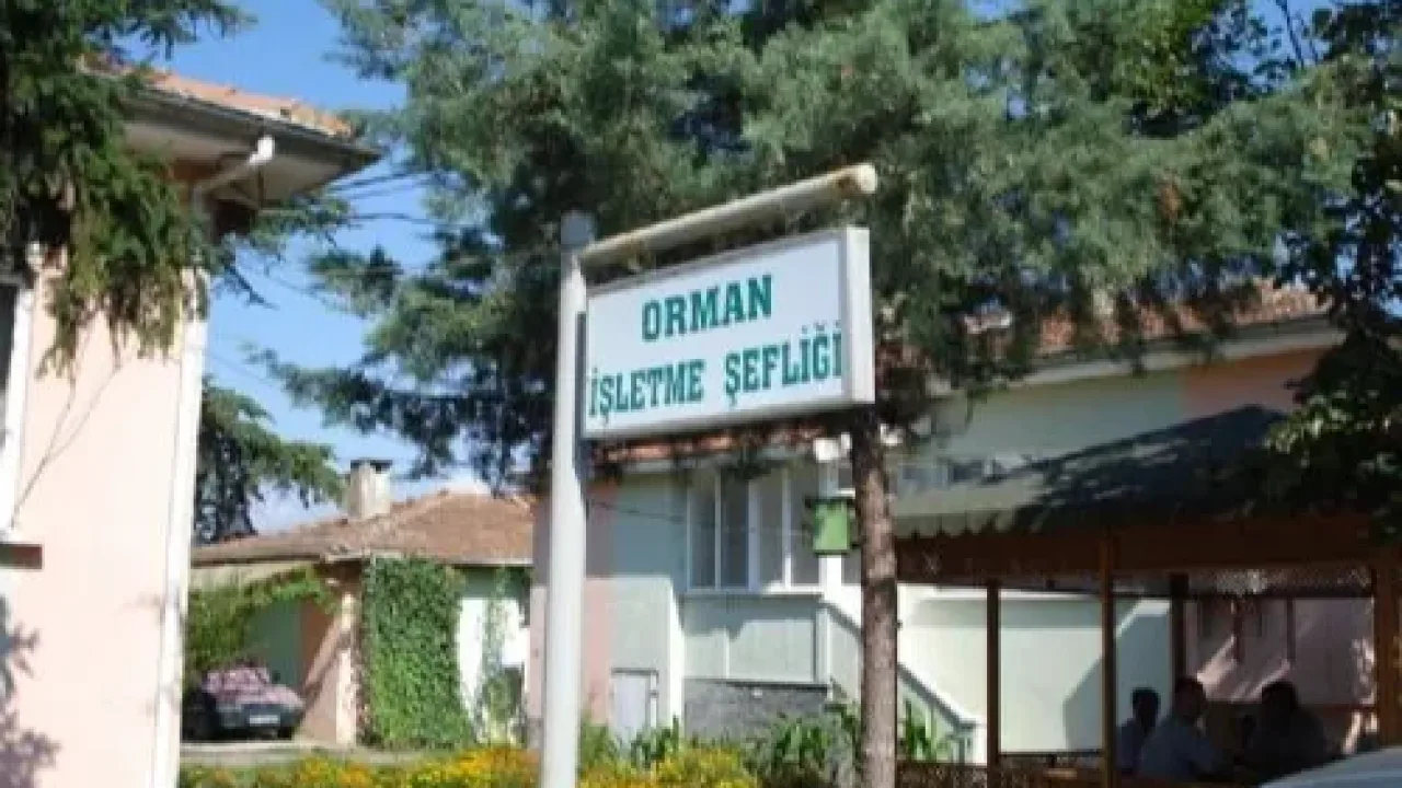 Kepsut’a Orman İşletme Müdürlüğü kuruluyor