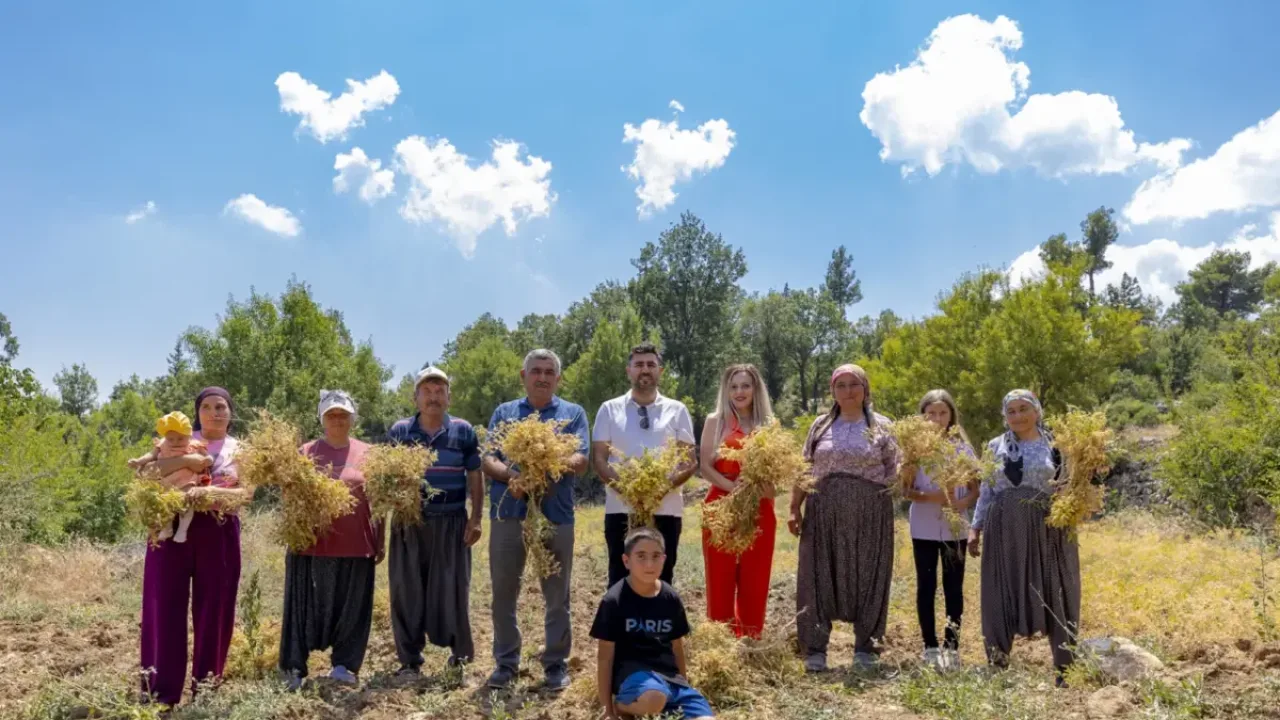 Mersin’de yerel tohumlar geleceğe taşınıyor
