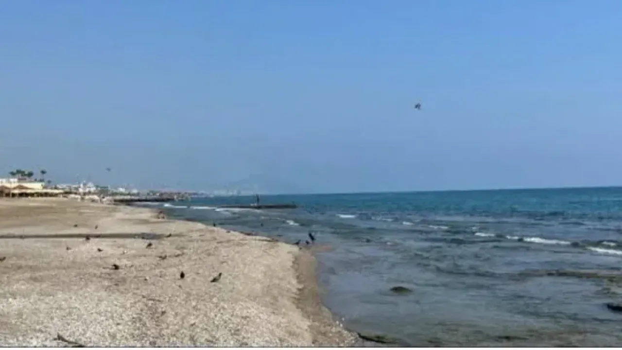 Mikroplastik Kirliliği Alarma Geçti