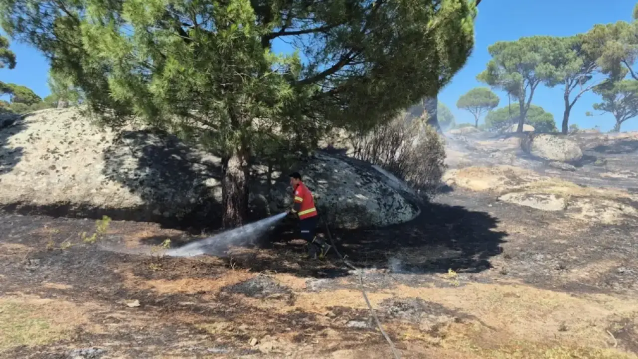 Muğla'da 3 yılda 3 bin 869 yangın: Nedeni ağırlıklı olarak insan
