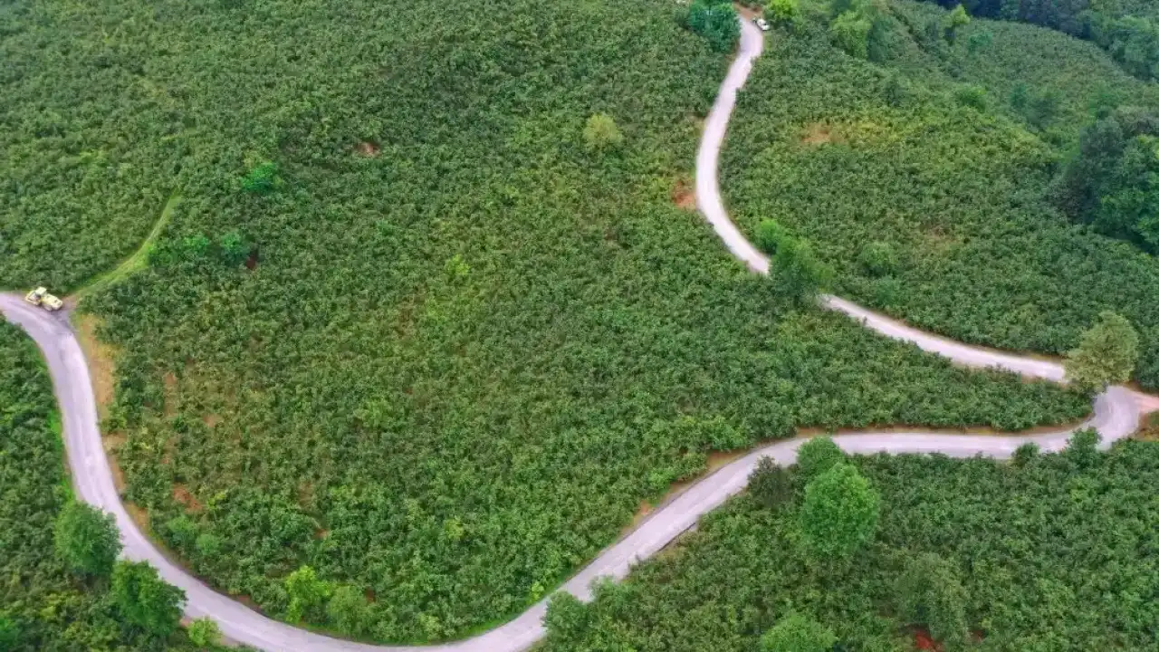 Ordu Büyükşehir’den Ulubey’e 7 kilometrelik asfalt yatırımı