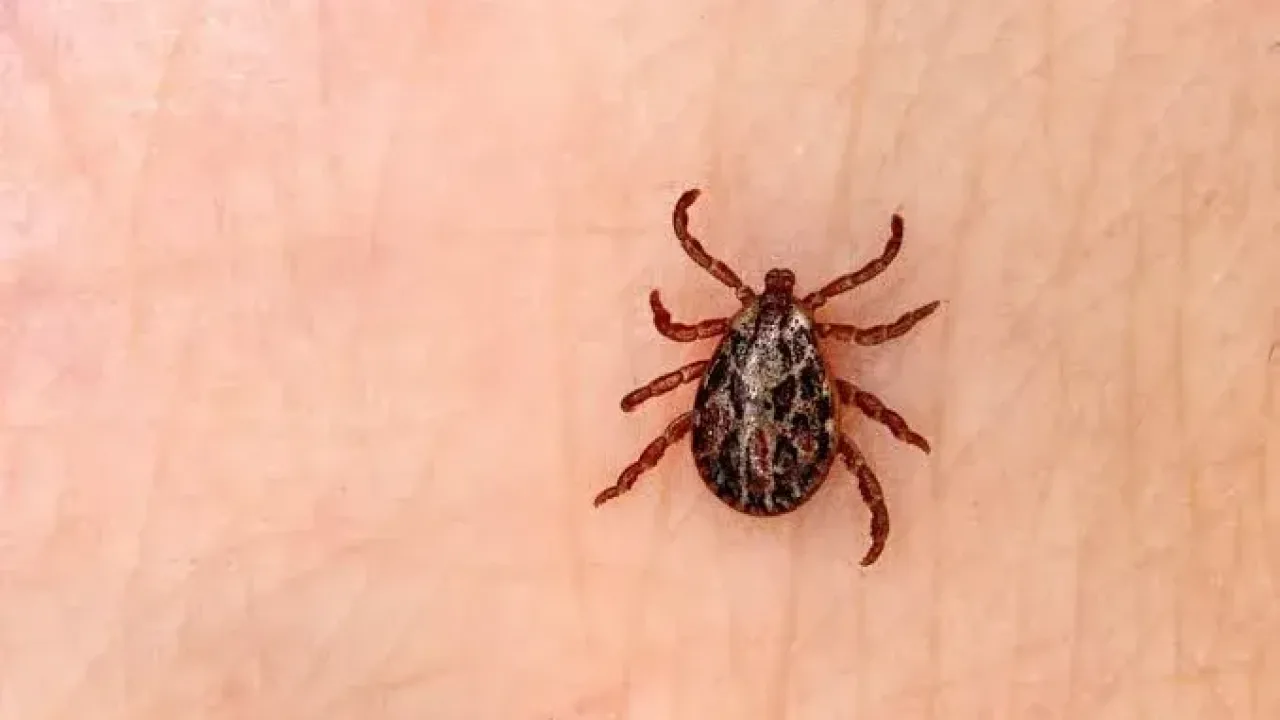 Yıldızeli'nde KKKA şüphesiyle hastaneye kaldırılan kişi vefat