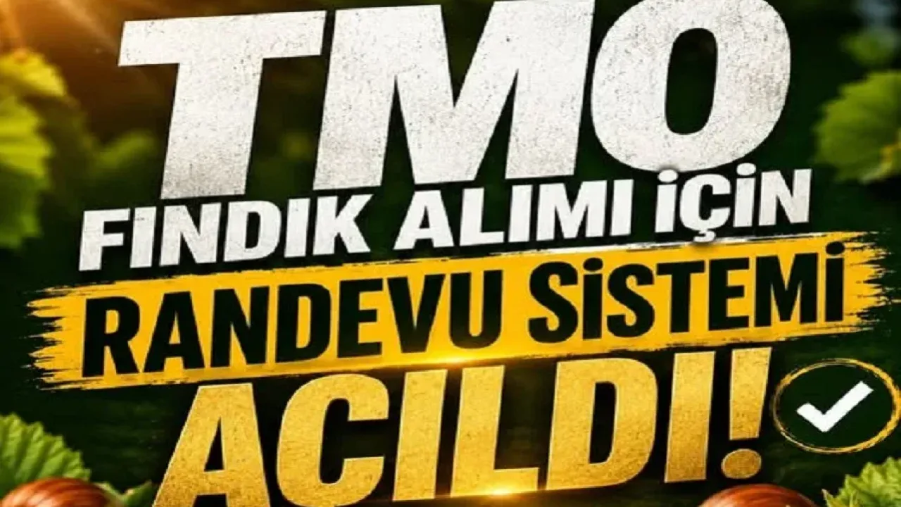 TMO, 2026 fındık alım randevularını başlattı