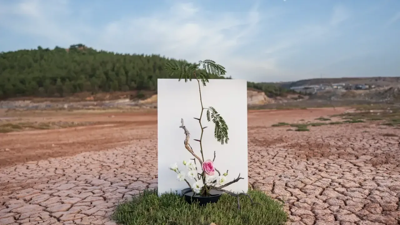 COP31'e 3 bin 373 başvurudan oluşan güçlü akademik destek