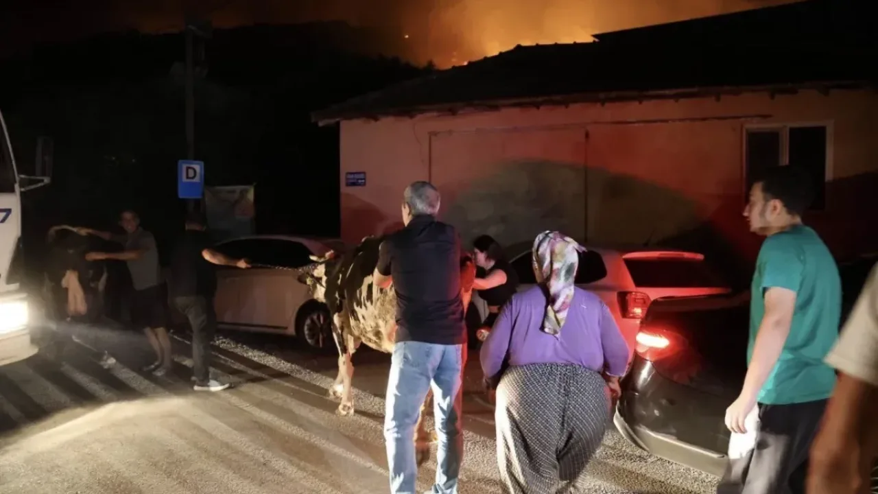Aksu'da orman yangınına hava ve kara araçlarıyla müdahale