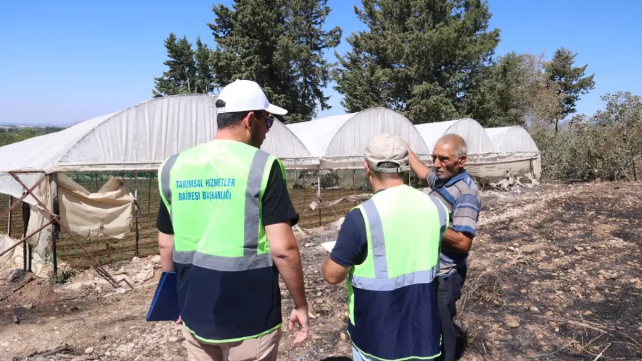 Antalya'da Büyükşehir ekipleri yangının izlerini silmek için