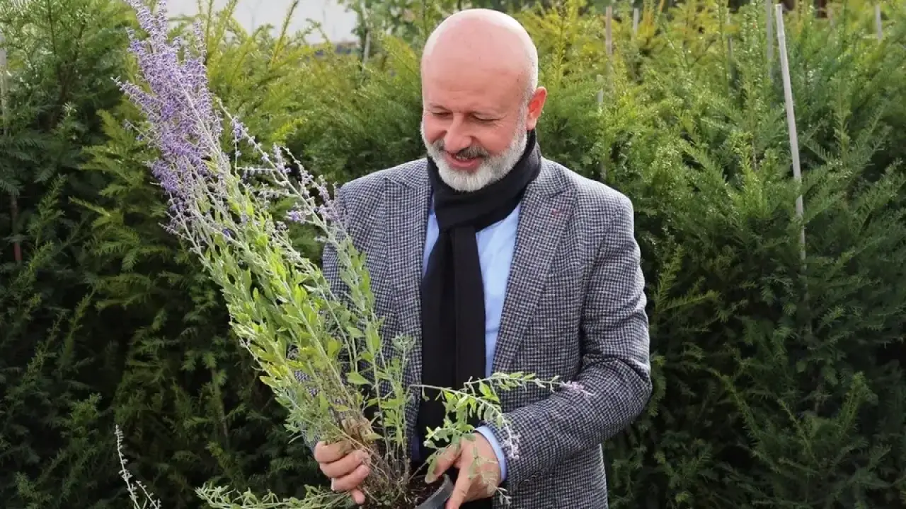 Kayseri Kocasinan on binlerce ağacı toprakla buluşturuyor