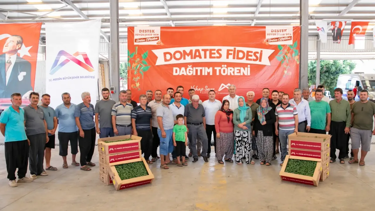 Mersin’de üreticiye domates fidesi desteği
