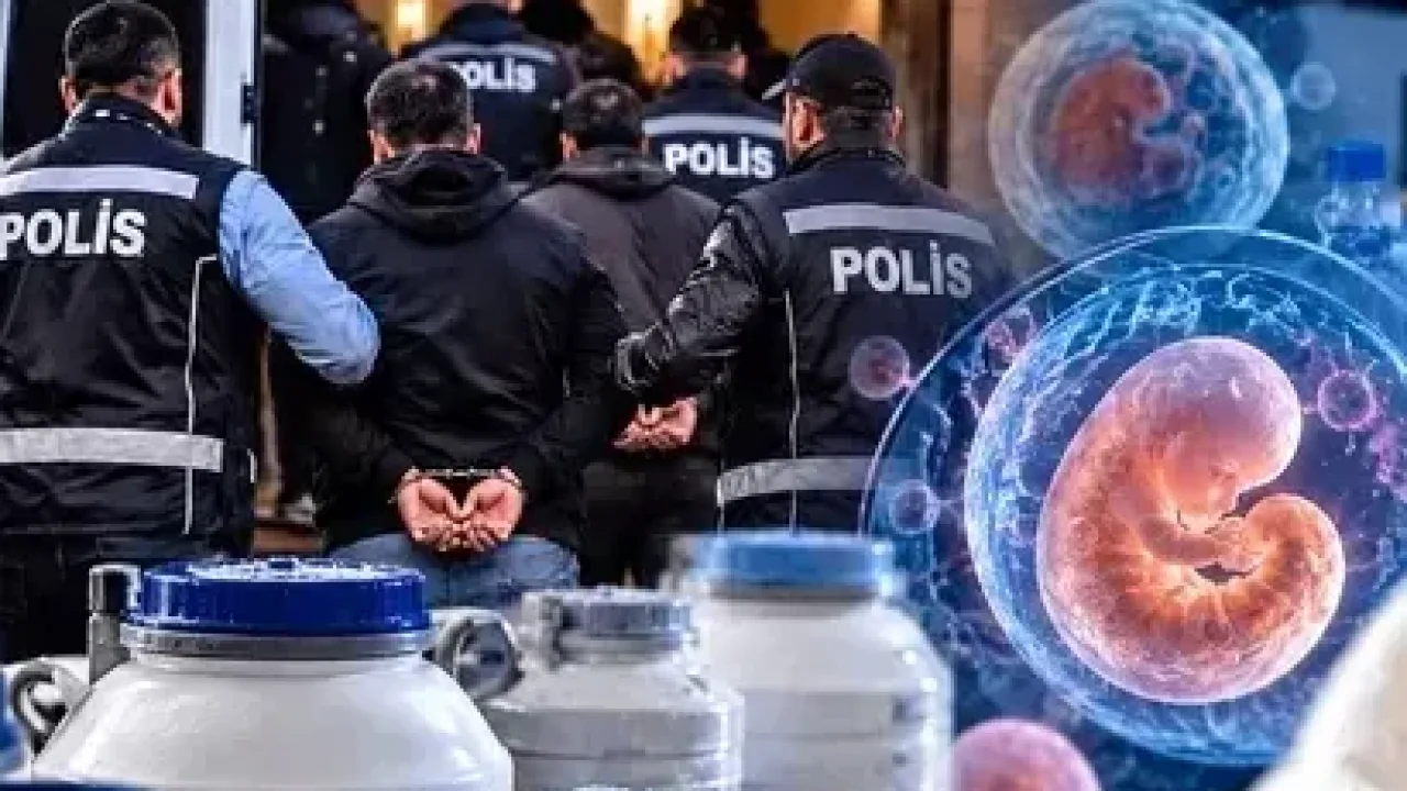 14 ilde üreme hücresi ve doku ticareti operasyonu! 36 gözaltı