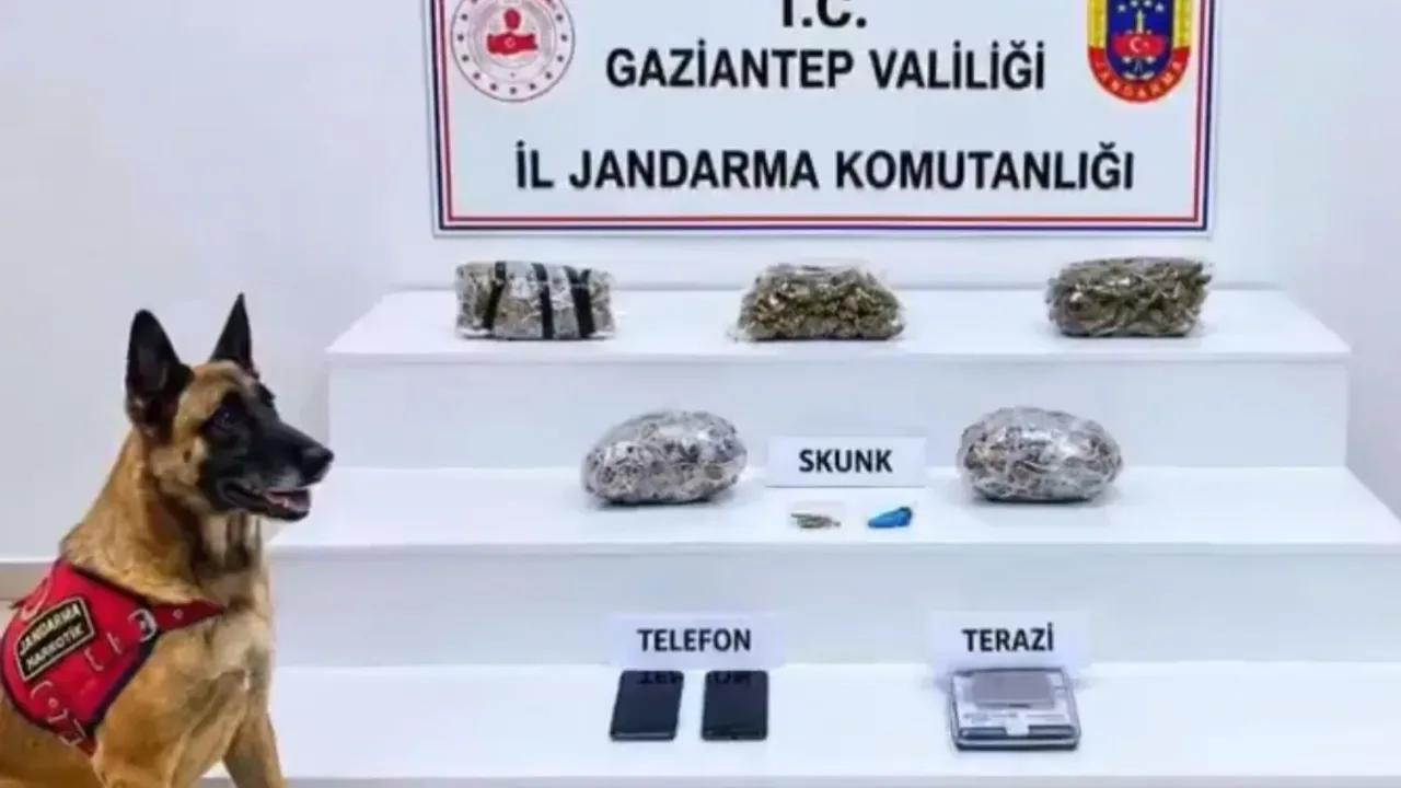 32 ilde yüzlerce kilo uyuşturucu ele geçirildi