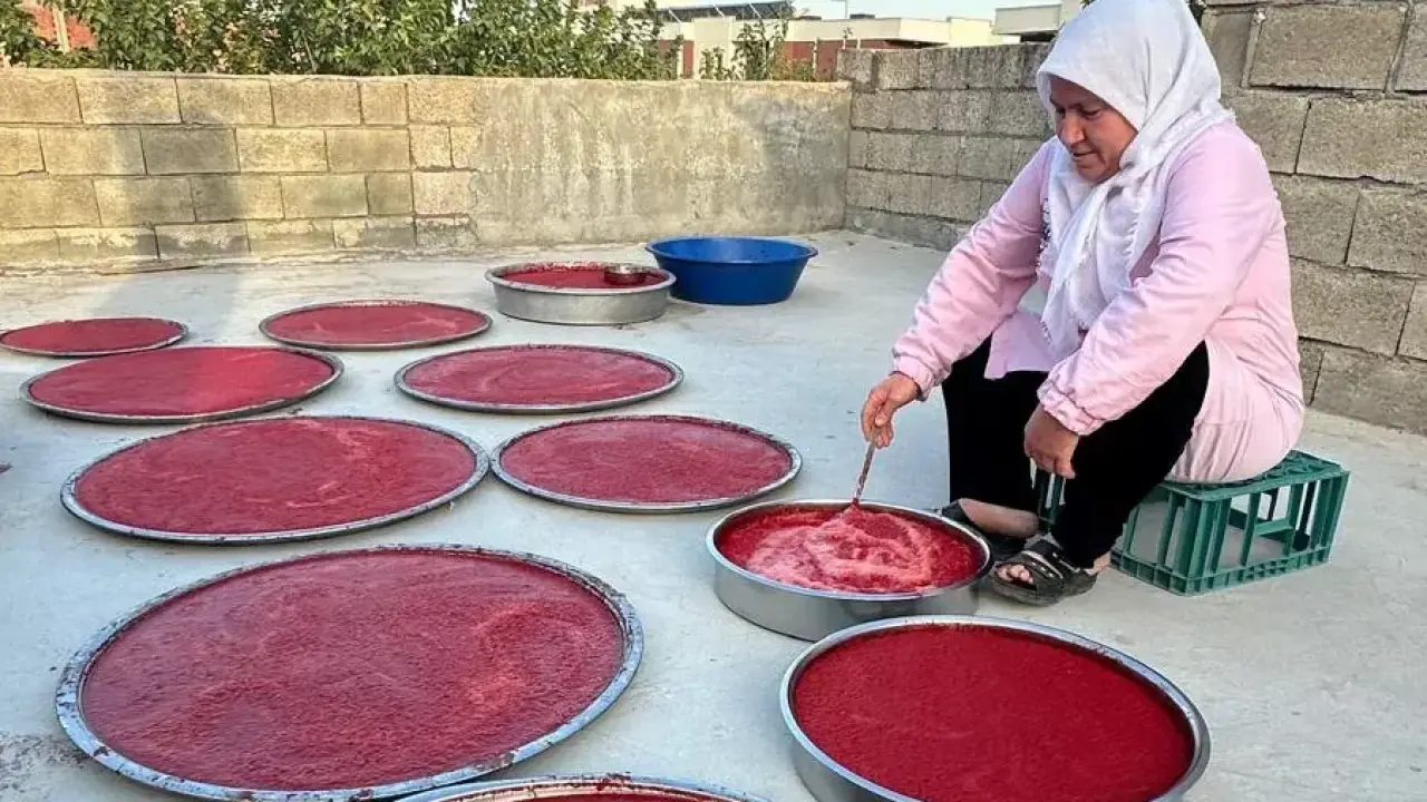 Adıyaman’da kış hazırlıkları hızlandı... Damlarda salça mesaisi