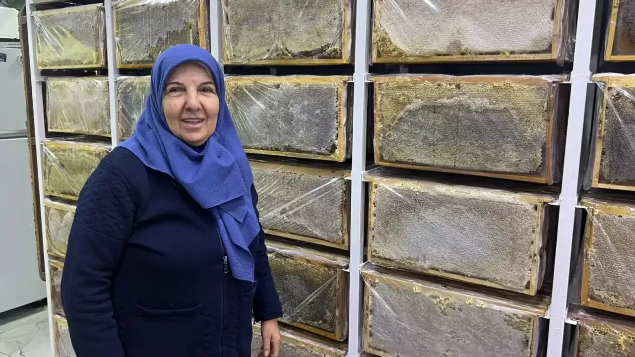 Ağrı’da arılar kışa hazırlanıyor... Arıcı Suzan Sürmeli anlattı