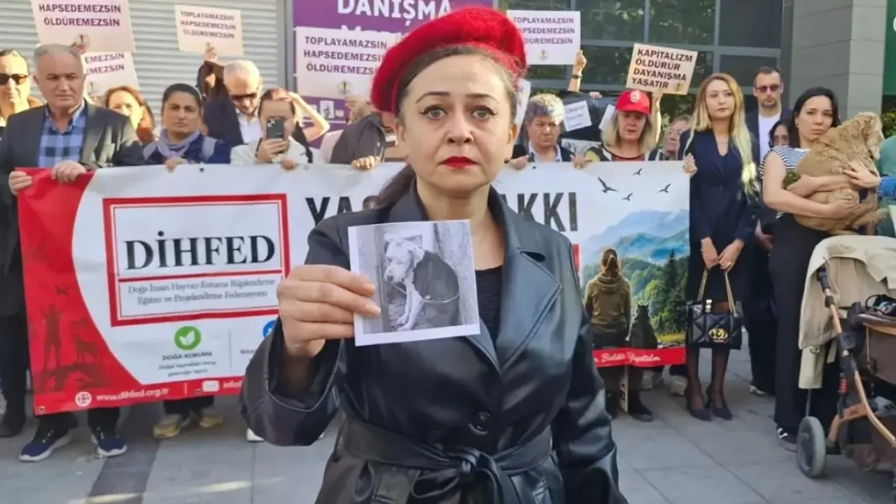 Ankara'da Dünya Hayvanları Koruma Günü basın açıklaması