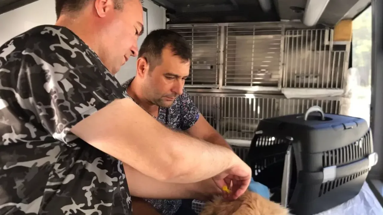 Balıkesir'de can dost aracı Savaştepe’den yola çıkıyor