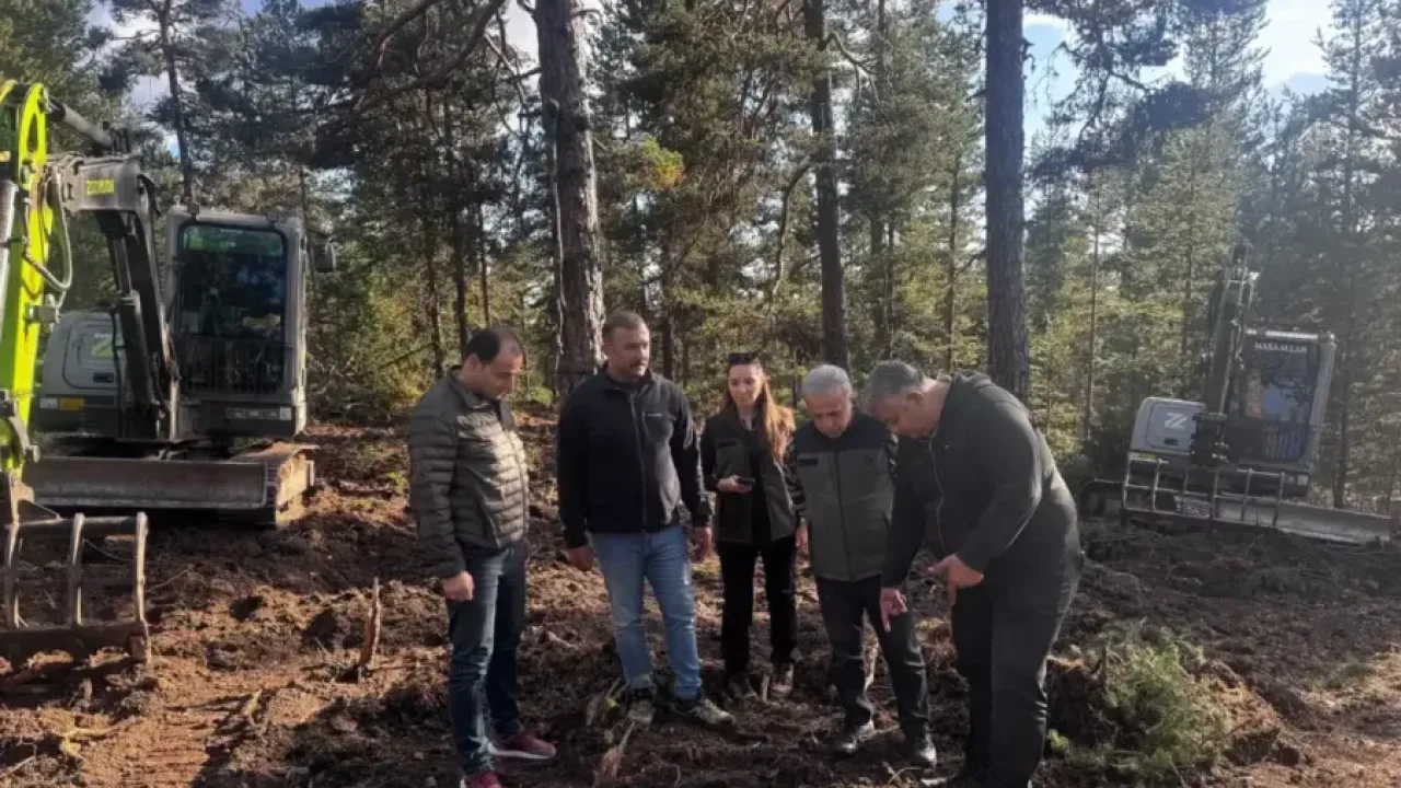 Beypazarı’nda 50 hektarlık alanda doğal gençleştirme çalışması