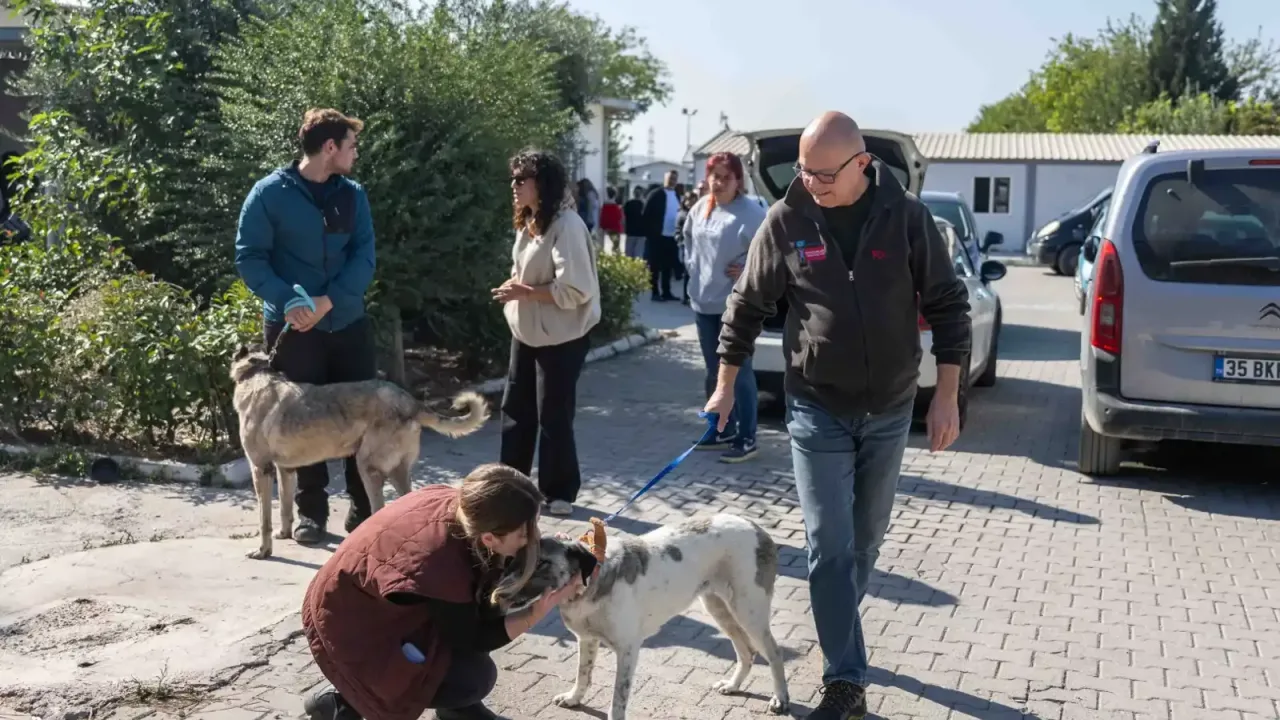 Bornova'da can dostları yeni sahipleriyle buluştu