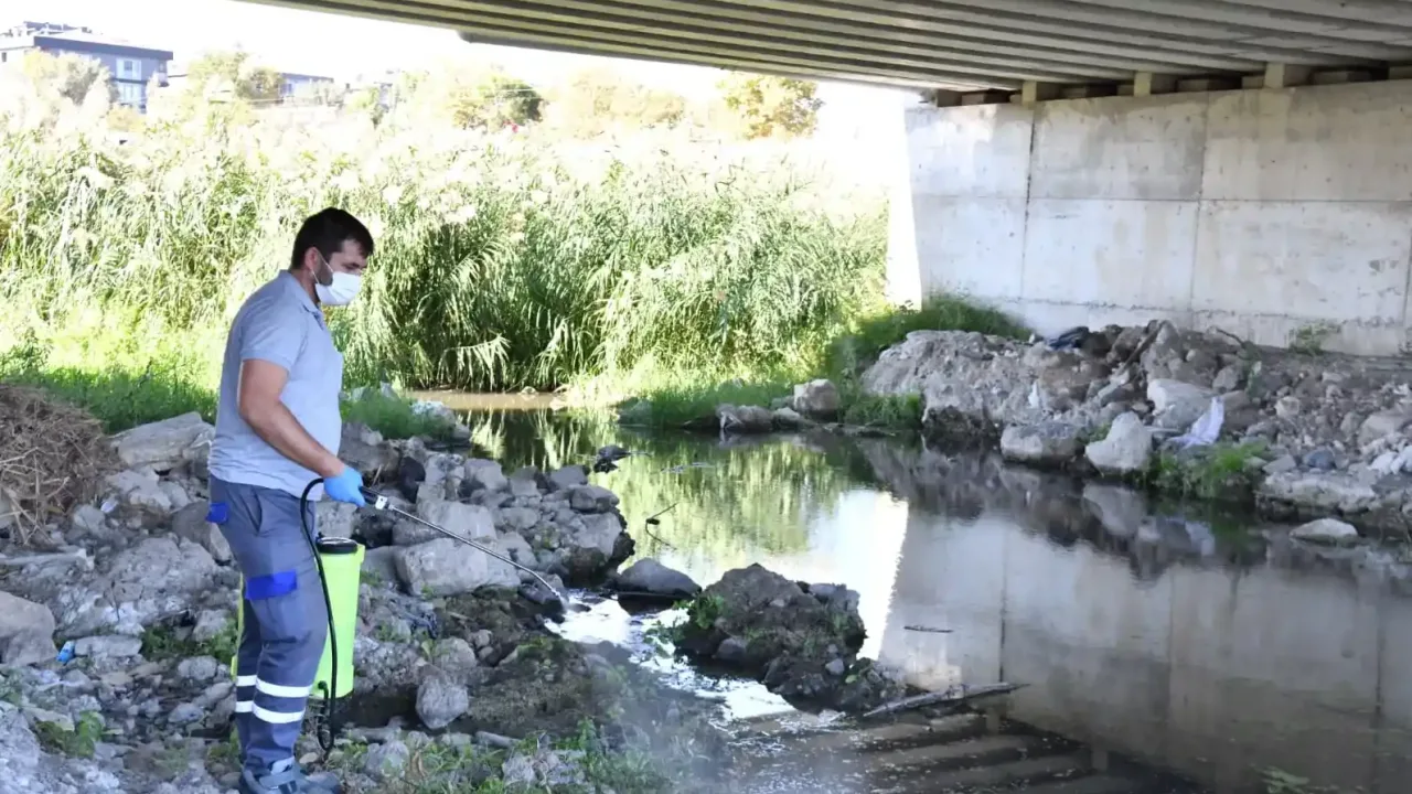 Çanakkale'de ısıran karasinek alarmı