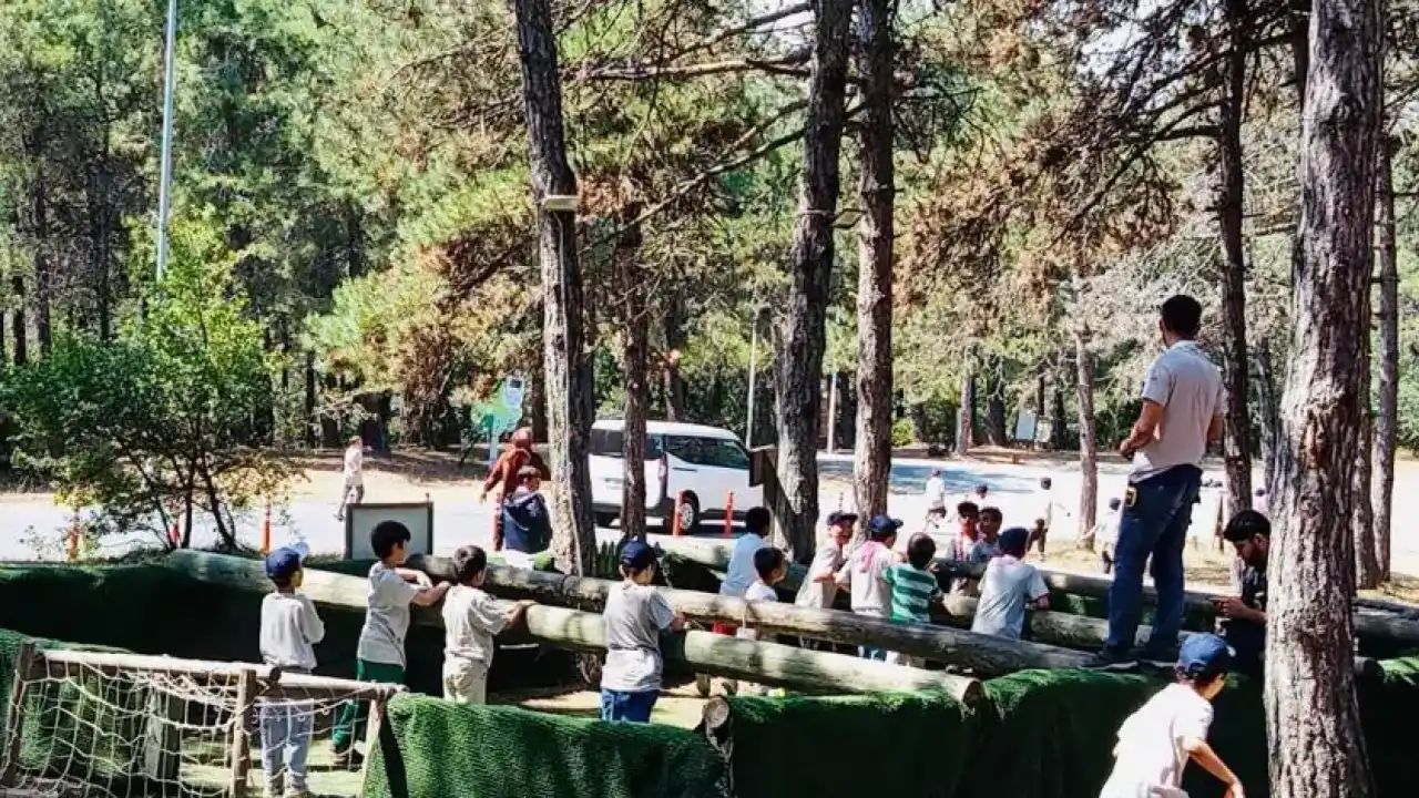 Devlet korumasında 2.240 çocuk yararlandı