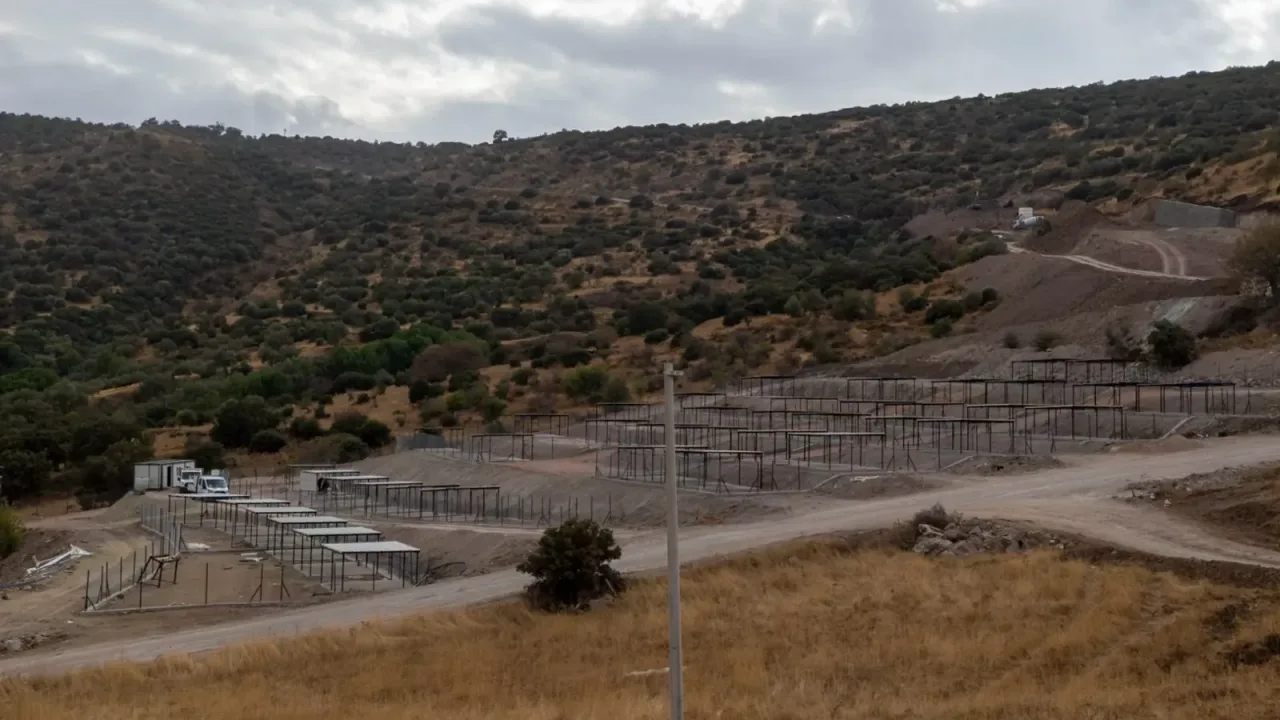 Dikili’ye tam teşekküllü sokak hayvanları kampüsü