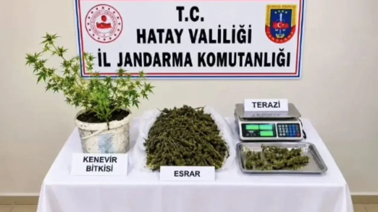 Hatay’da uyuşturucu operasyonu: 1 kişi tutuklandı