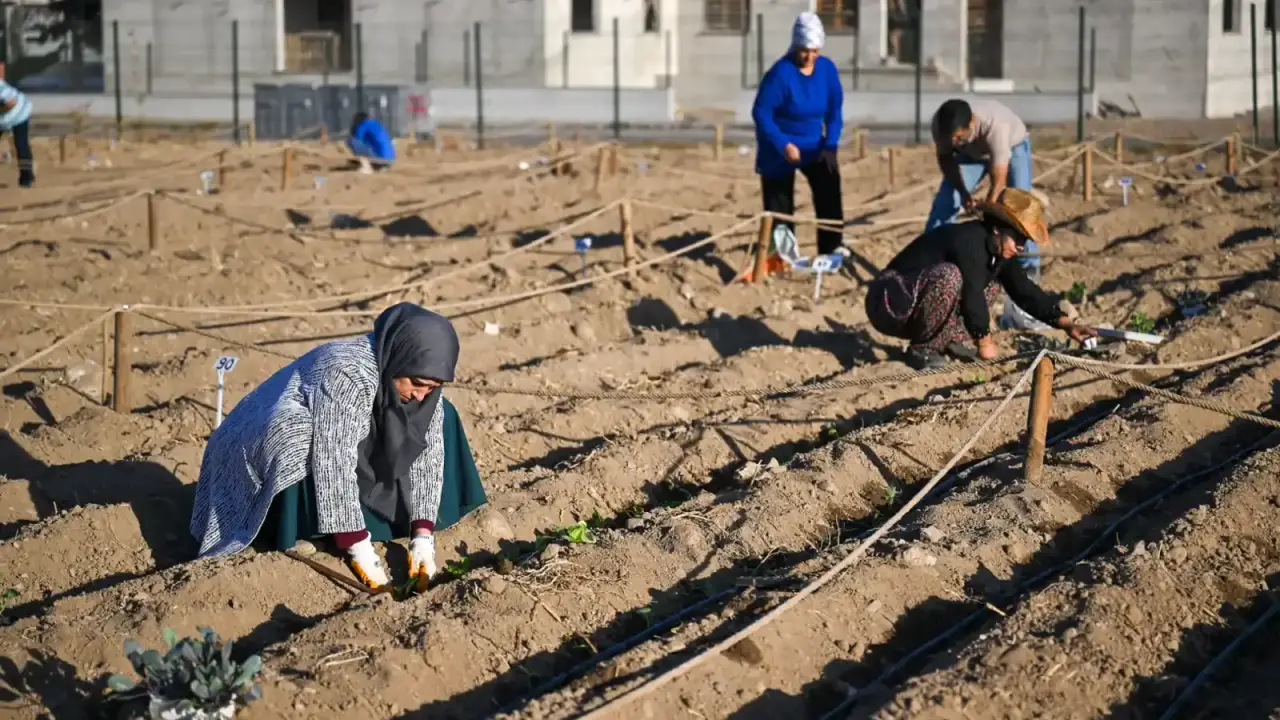 İzmir Bornova’dan dünyaya çevrecilik dersi