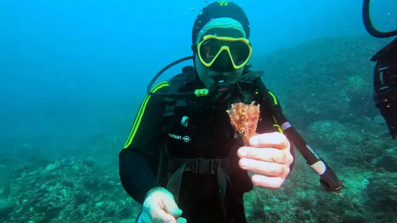 Marsilya’da deniz koruma alanı örnek oldu