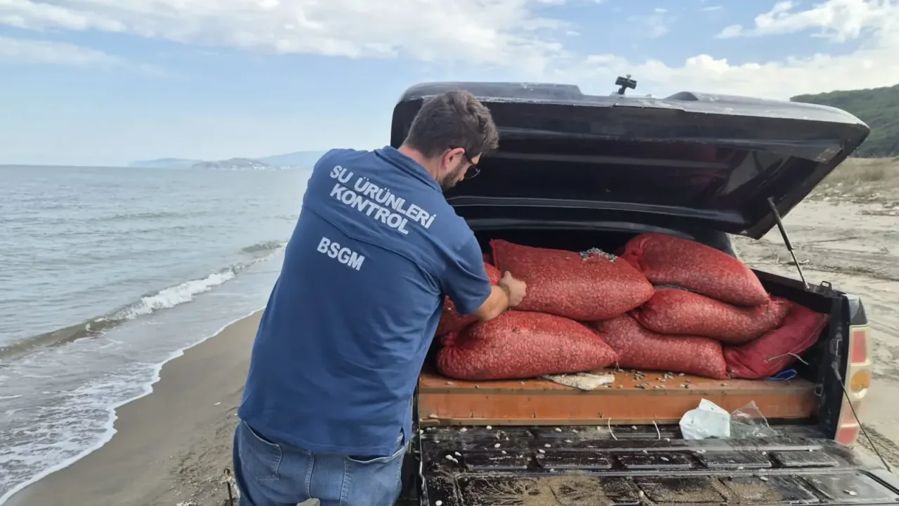 Mudanya Eğerce'de 2,7 ton kum şırlanı denize iade edildi!