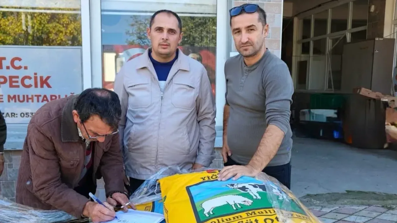 Mustafakemalpaşa’da üreticilere 2 ton İtalyan çimi tohumu desteği