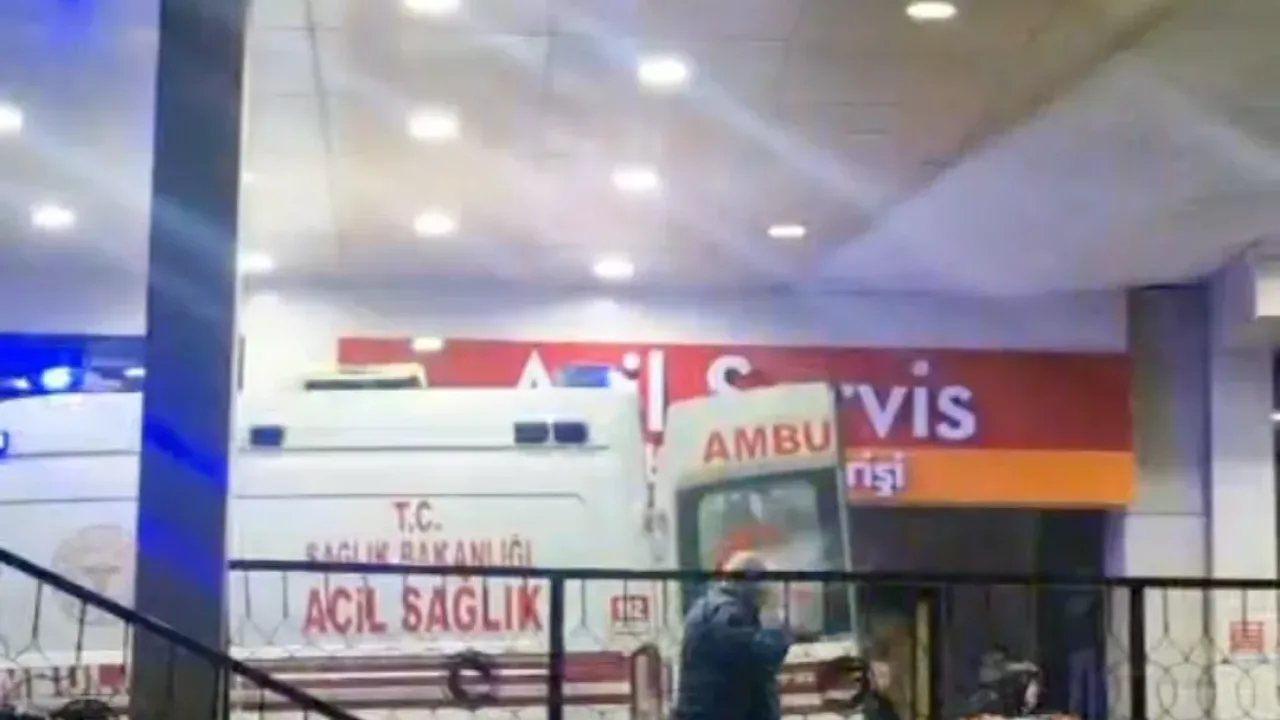 Ormanda kaza kurşunuyla vuruldu