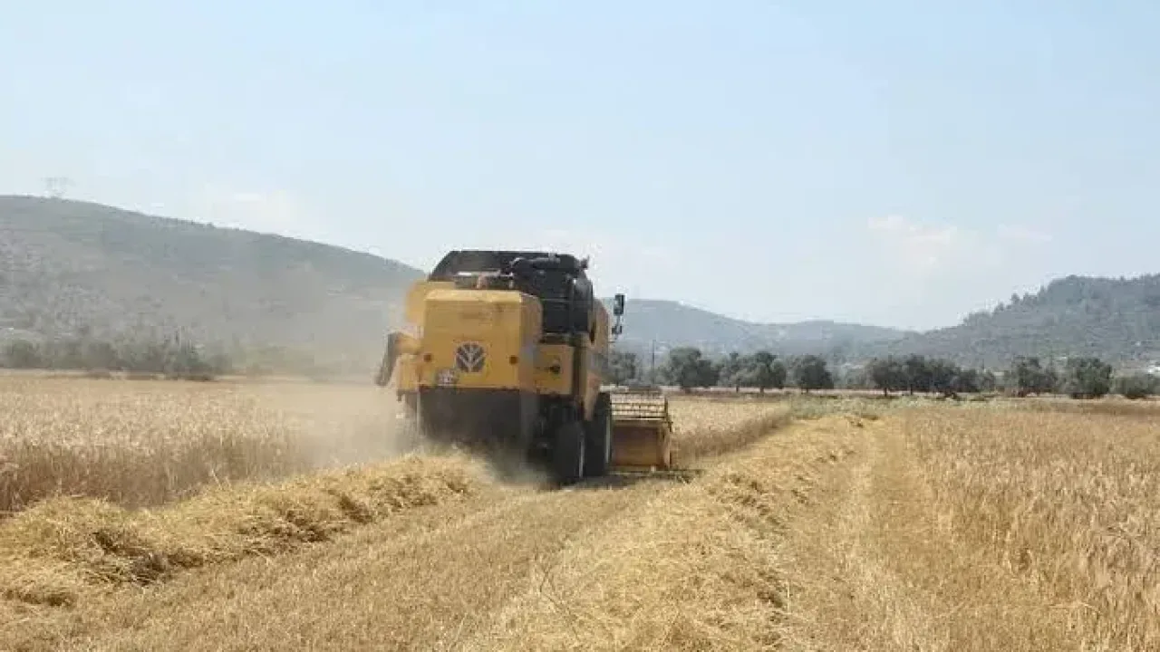Pancar üreticilerine 952 milyon liralık avans ödemesi
