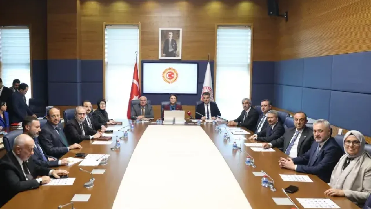 TBMM İnsan Haklarını İnceleme Komisyonu'nda Başkan Vekili seçildi