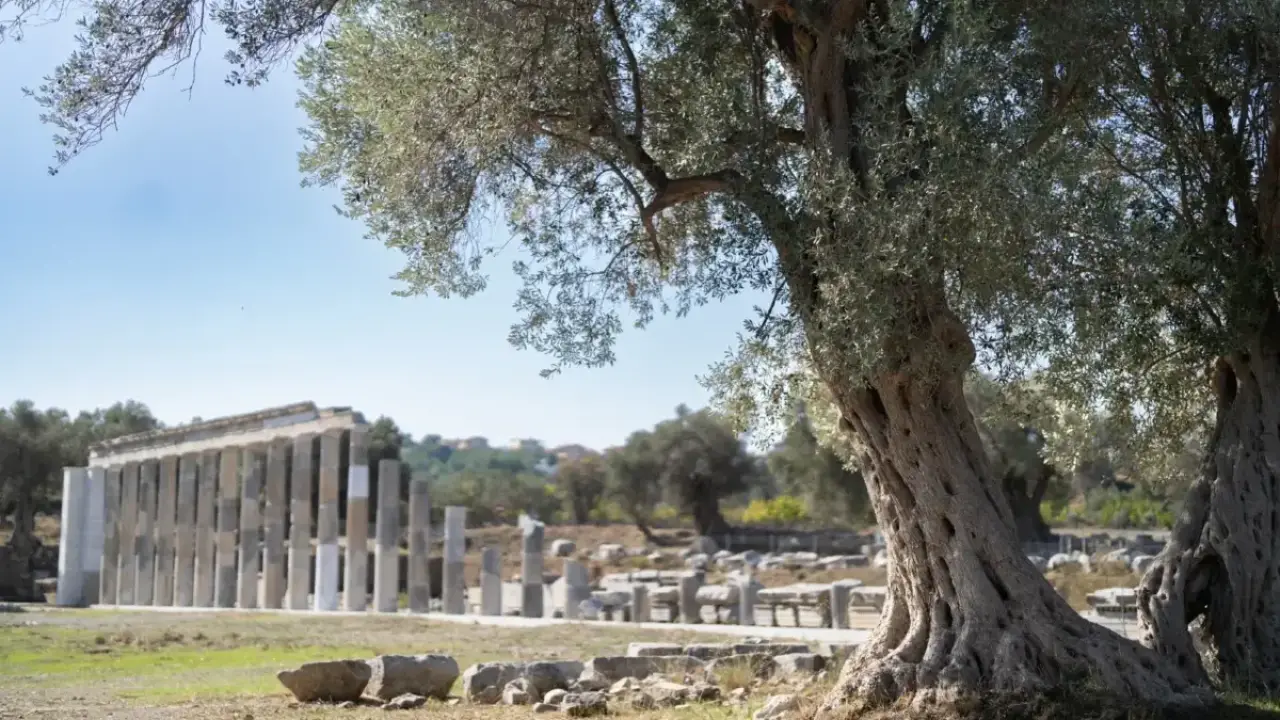 Teos’un taşları 2 bin 200 yıllık tarihi gün yüzüne çıkarıyor